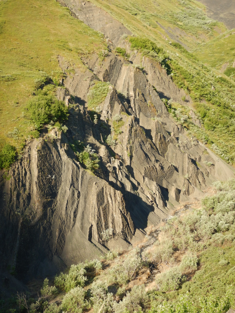 dinosaur footprints alaska