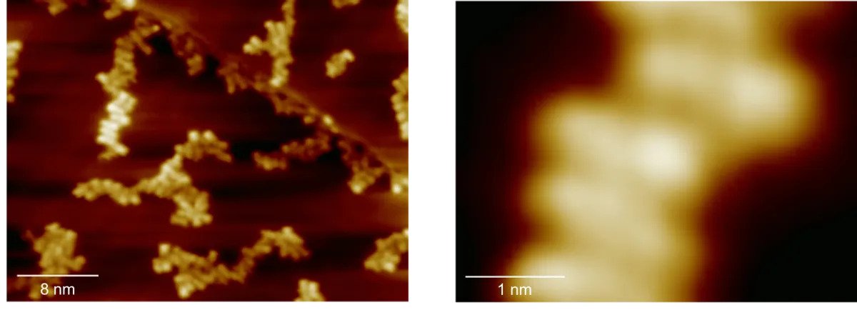 Scanning tunneling microscopy of terbium supramolecular assemblies, with the terbium atom at the center of each structure