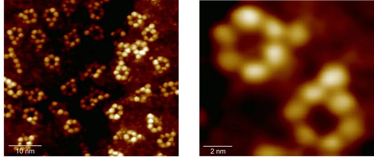 Images of the supramolecular assemblies that feature six rubidium atoms and an iron one