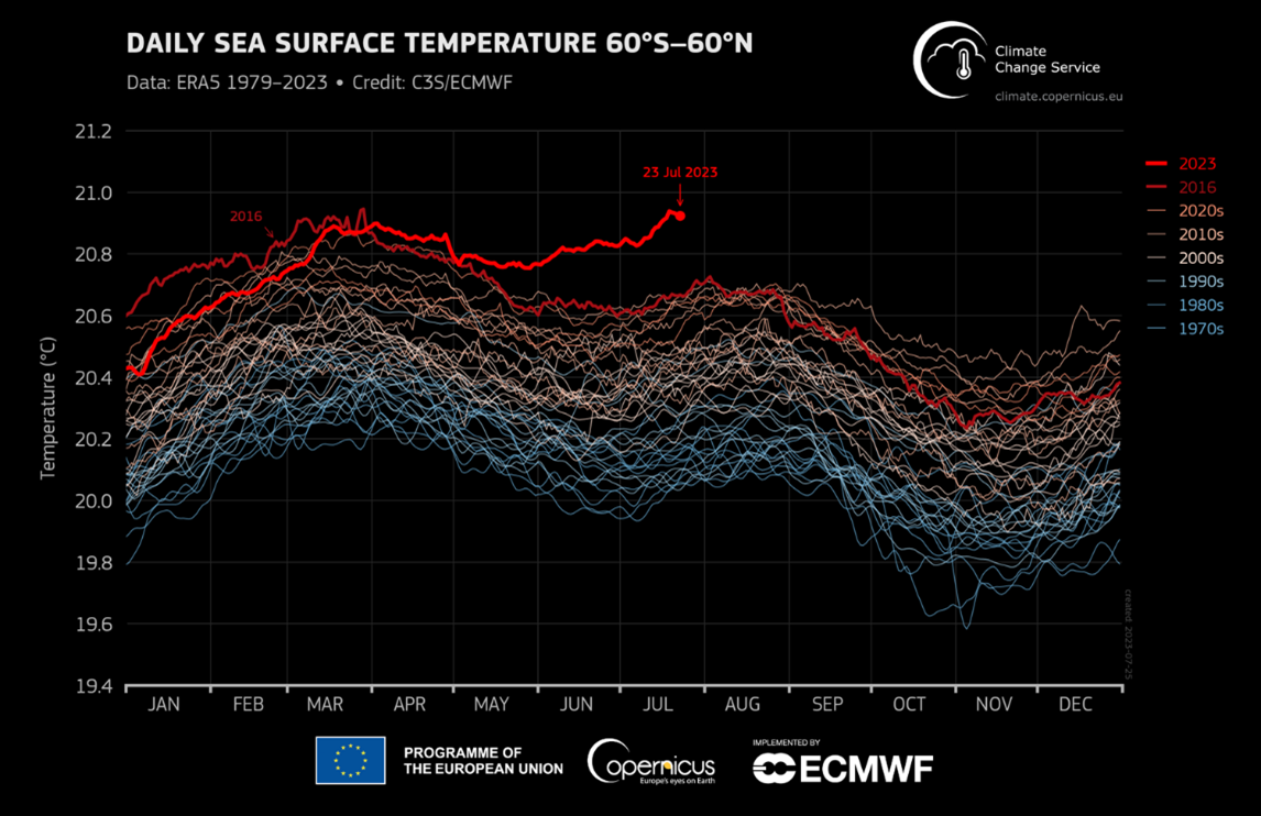 These measurements exclude the regions more than 60 degrees from the equator, where few people live but events affect the rest of the planet. In this case, the result looks very similar.