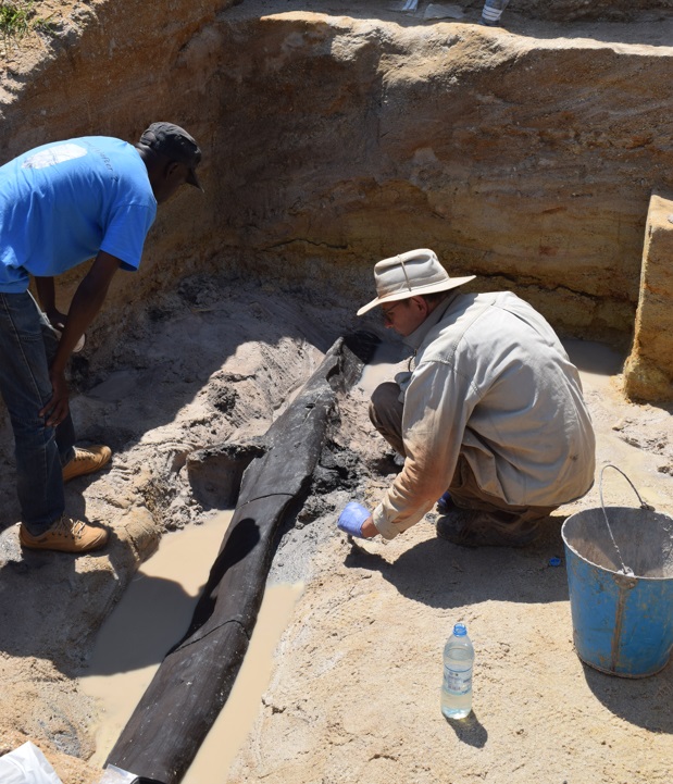 The excavation team uncovering the wooden structure.