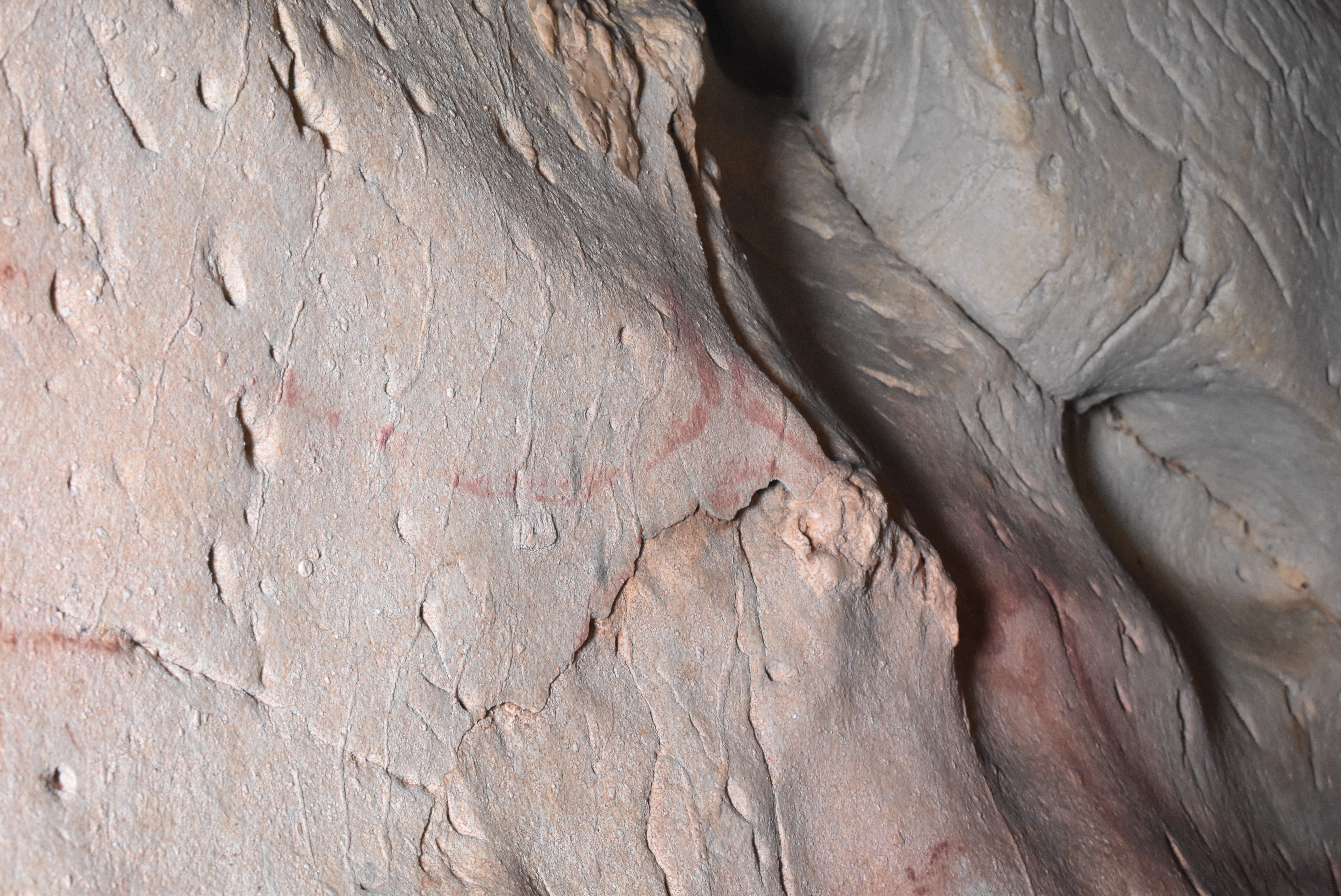 Ancient cave art pareidolia