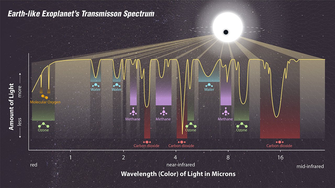 A hypothetical example of how the atmosphere composition of an exoplanet might look.
