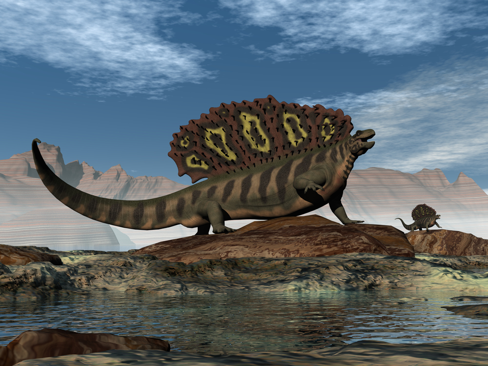 Edaphosaurus standing on a rock. 