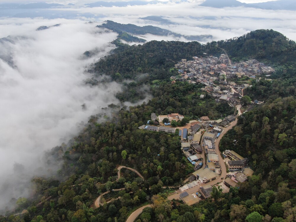 Village surrounded by tea groves on a mountain.