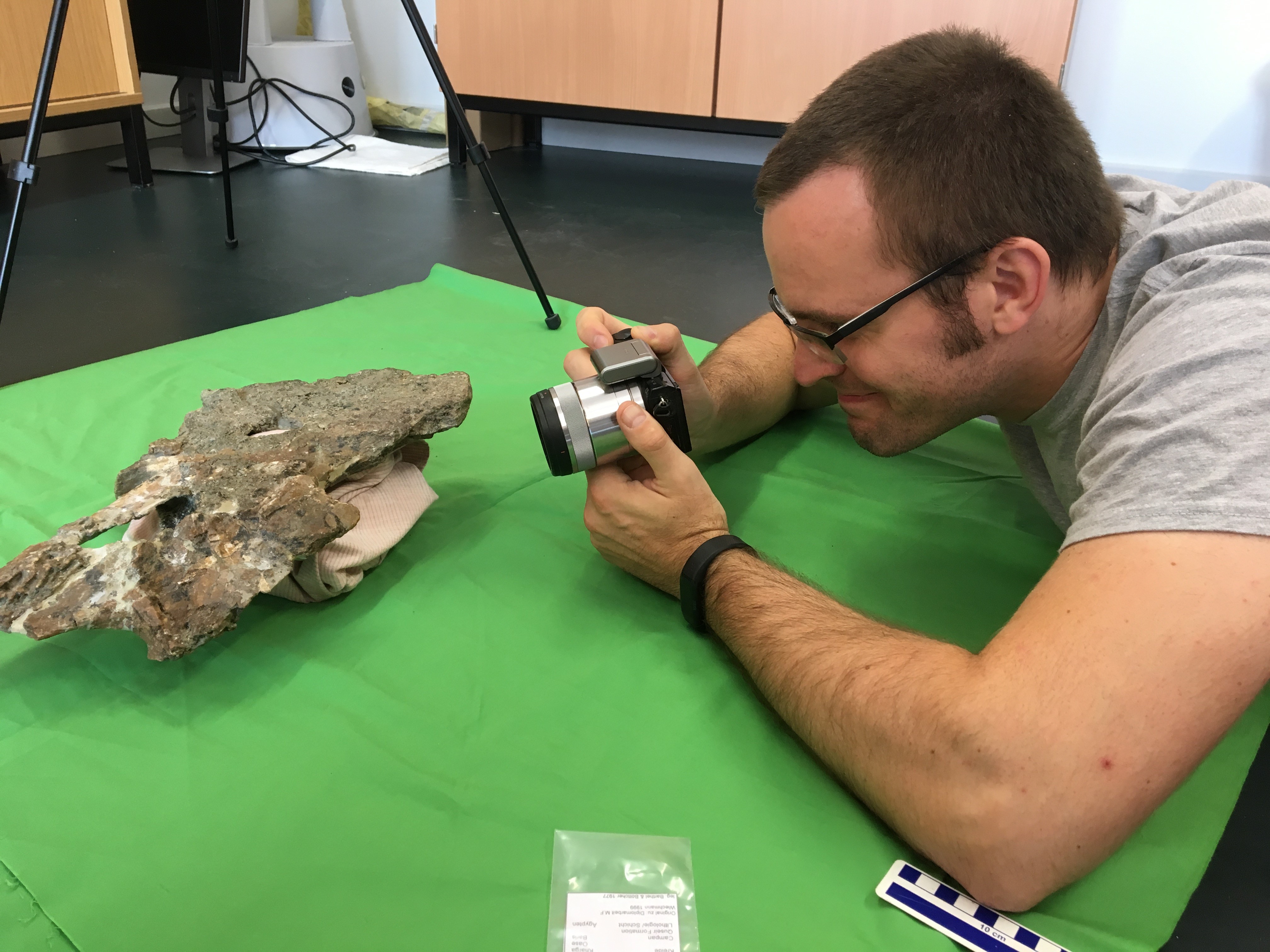 first author Eric Gorscak photographing one of the dinosaur vertebrae against a green sheet