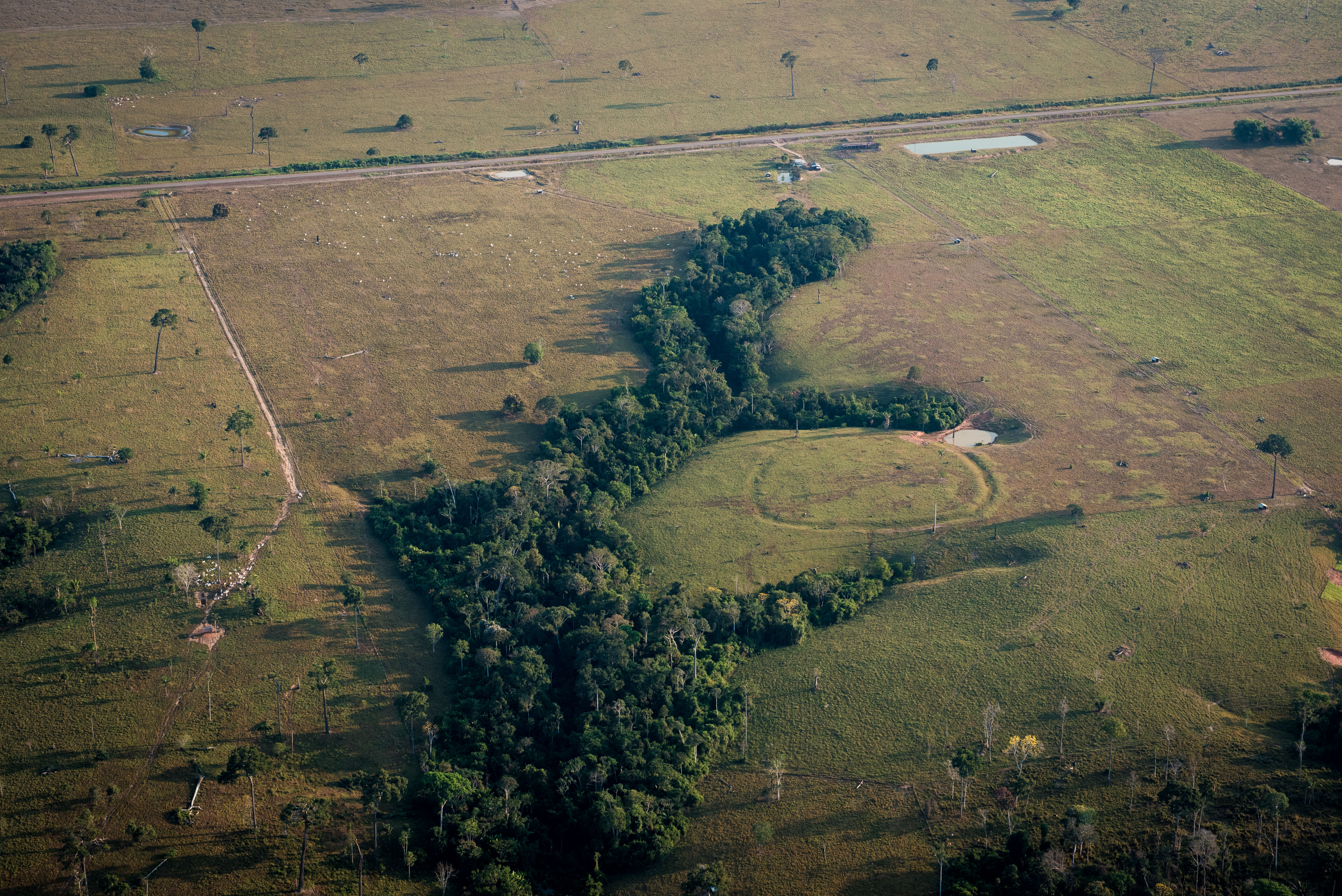 aerial view of circular earthwork on the Amazonian landscape