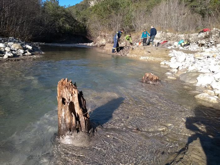 Not much is left of some of the trees, with many being so eroded they couldn't be used