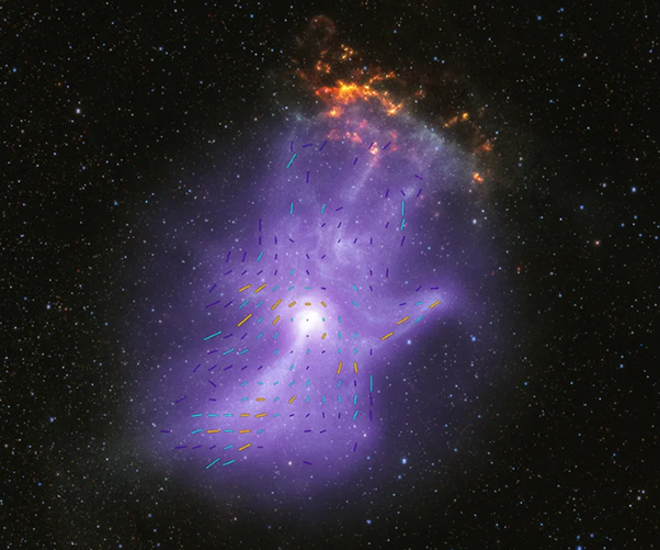 The wind nebula MSH 15-52 with suspected magnetic field lines marked on