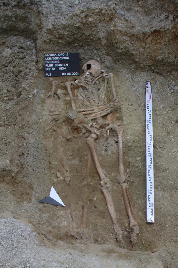 skeleton of medieval man unearthed in Freising, Bavaria