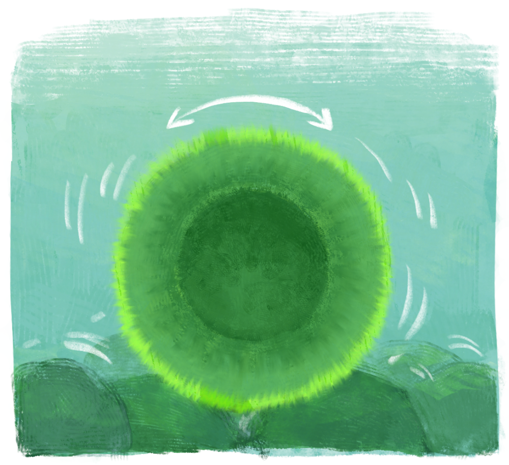 an illustration showing how marimo is hollow and grows on the outside while the inside decomposes