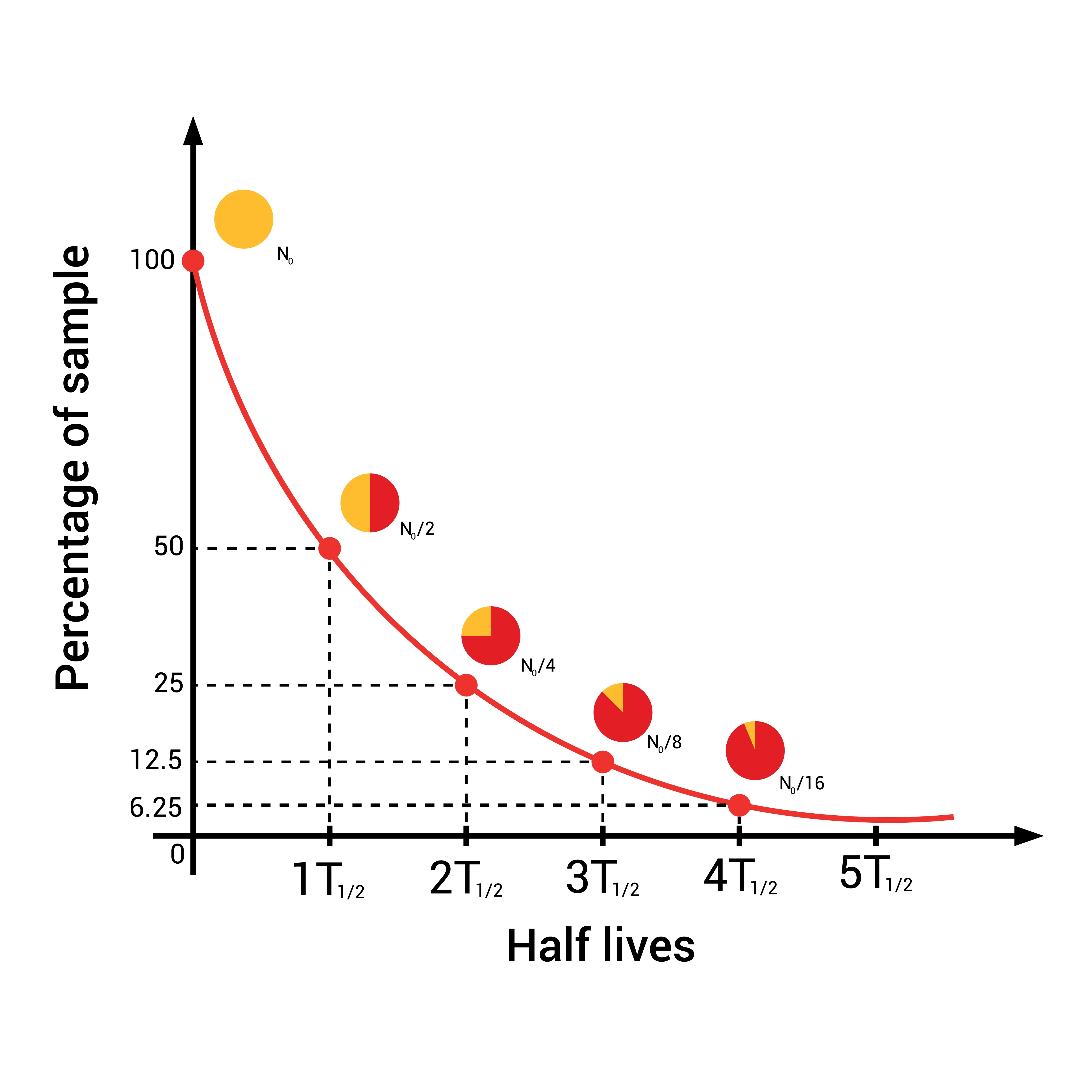 half life curve