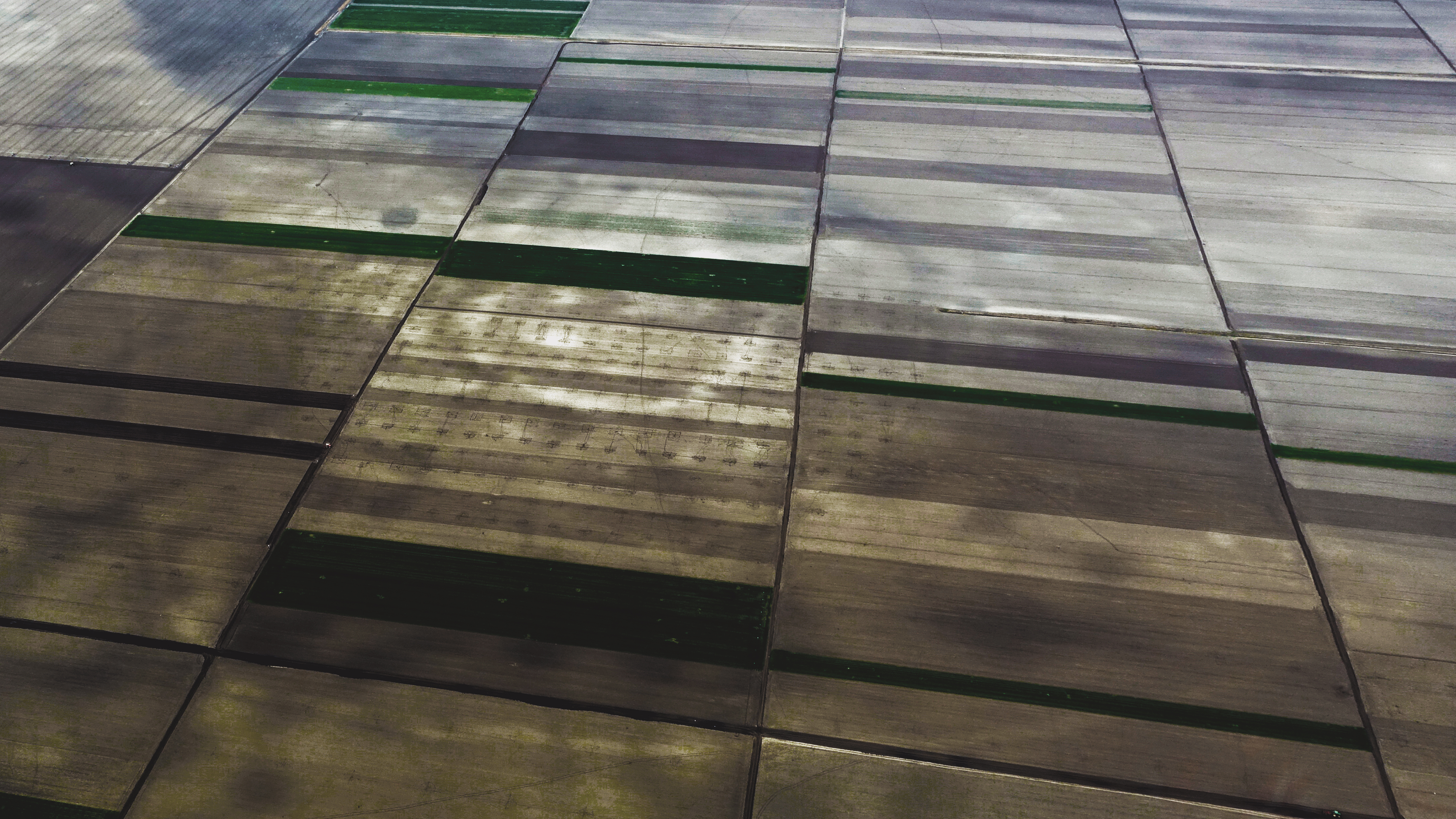 An aerial photo of a network of fields showing a grid of ancient archaeological sites that appear as small dark impression in the landscape. 