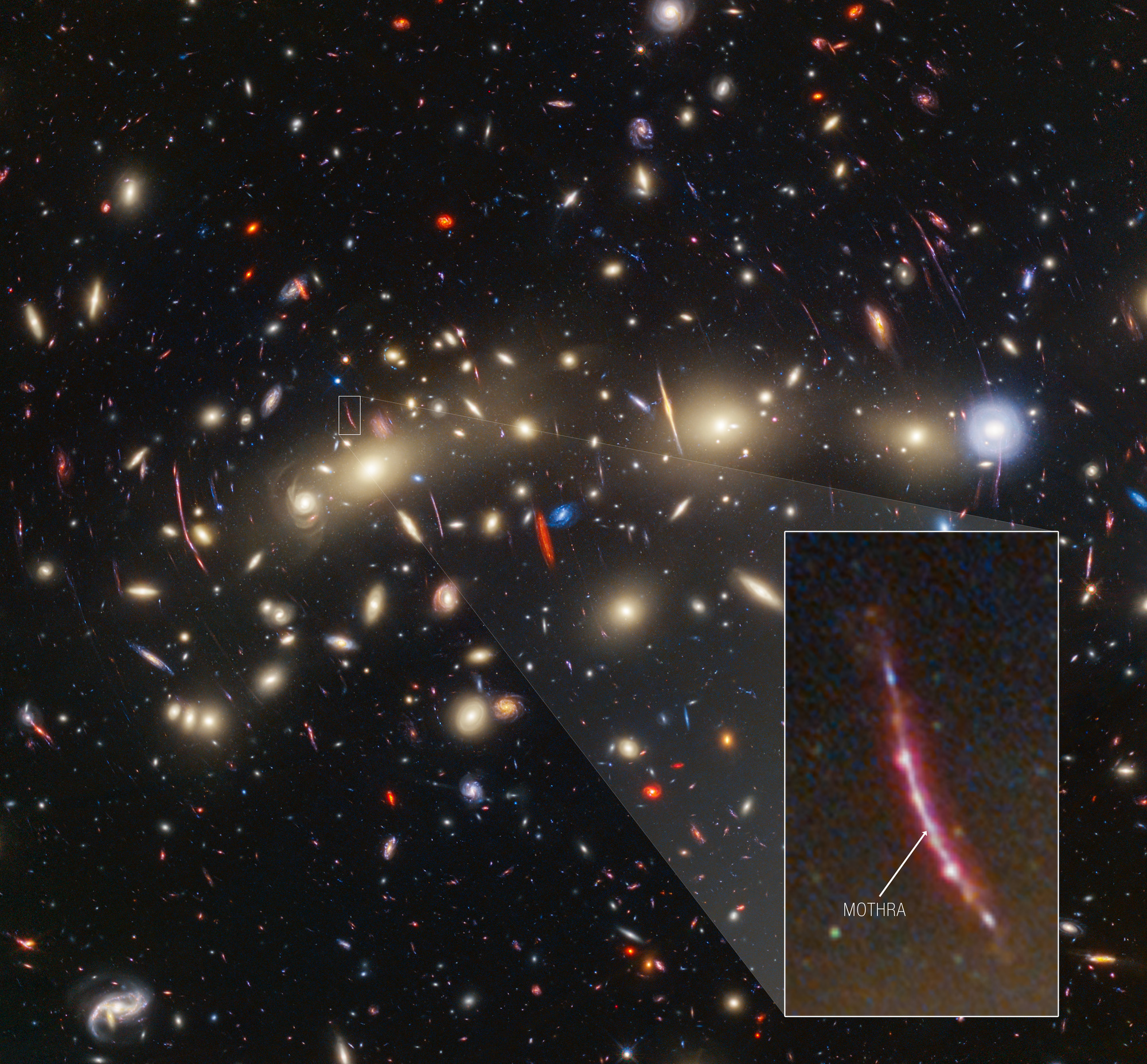 A field of galaxies on the black background of space. In the middle, stretching from left to right, is a collection of dozens of yellowish spiral and elliptical galaxies that form a foreground galaxy cluster. Among them are distorted linear features created when the light of a background galaxy is bent and magnified through gravitational lensing. At center left, a particularly prominent example stretches vertically about three times the length of a nearby galaxy. It is outlined by a white box, and a lightly shaded wedge leads to an enlarged view at the bottom right. The linear feature is reddish and curves gently. It is studded with about a half dozen bright clumps. One such spot near the middle of the feature is labeled “Mothra.”