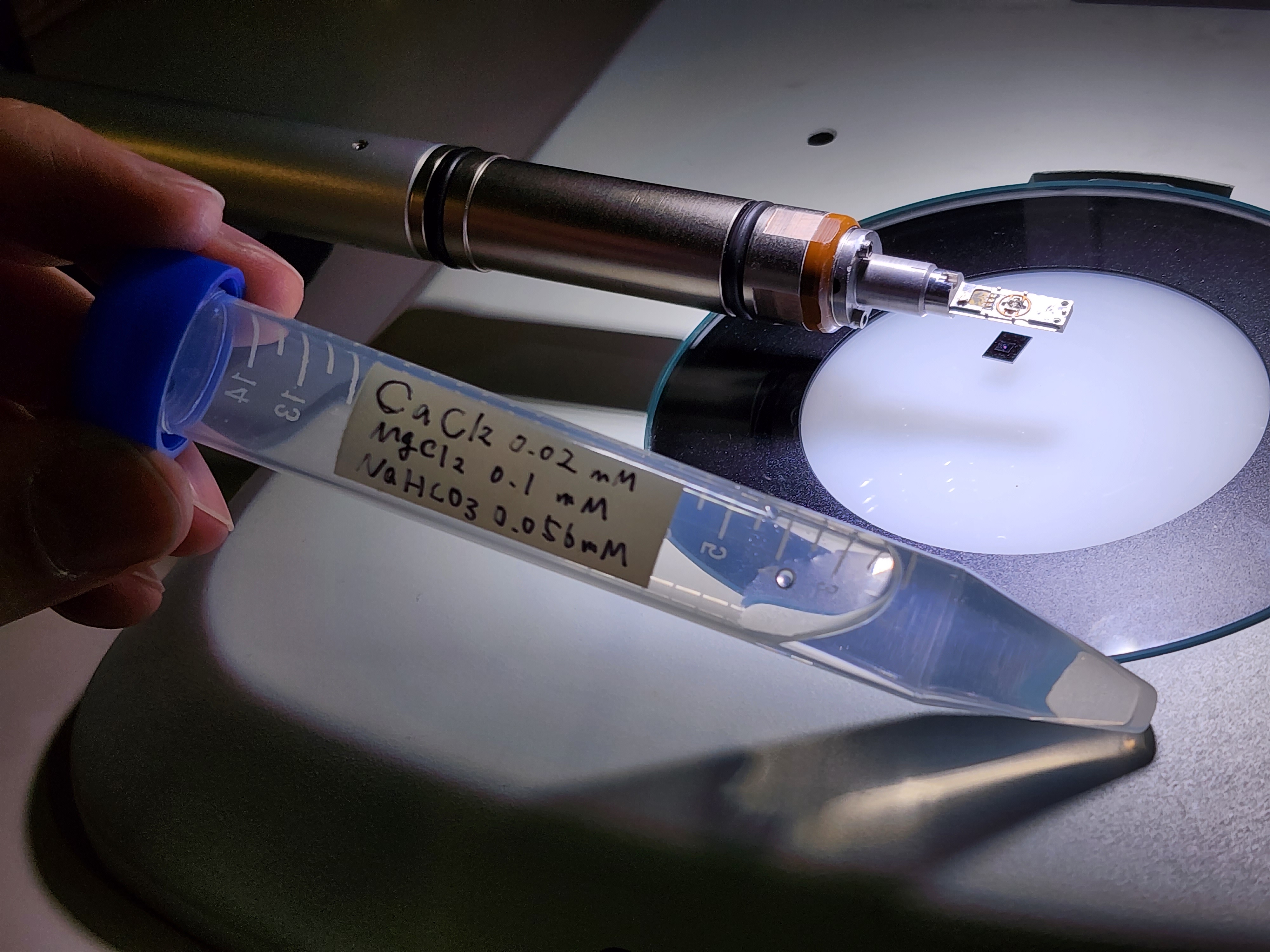 A thin, plastic test tube holds a clear liquid solution and is labeled with the chemical formulas of the compounds in the solution: CaCl2, or calcium chloride, MgCl2 or magnesium chloride, and NaHCO3, or sodium bicarbonate. The test tube is held in front of a transmission electron microscope chip, which is resting on a holder, which looks like a long, metal rod. The chip at the end of the holder is around the size of a pinky finger.