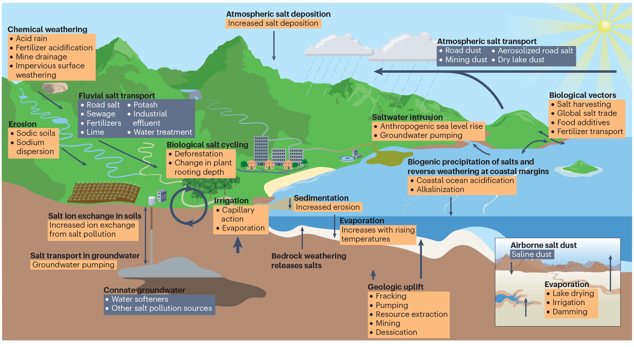 A diagram of the anthropogenic salt cycle of Earth.