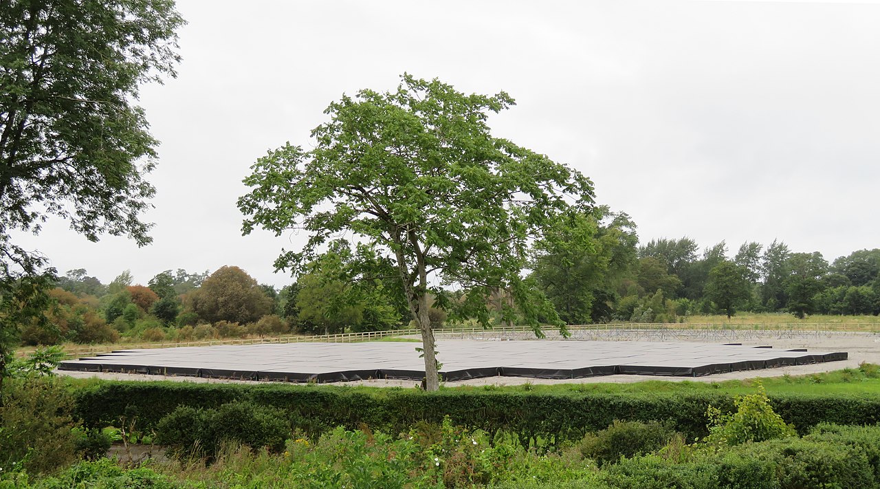 Photograph of the Irish Low-Frequency Array (I-LOFAR) at Birr Castle in Ireland, surrounded by trees