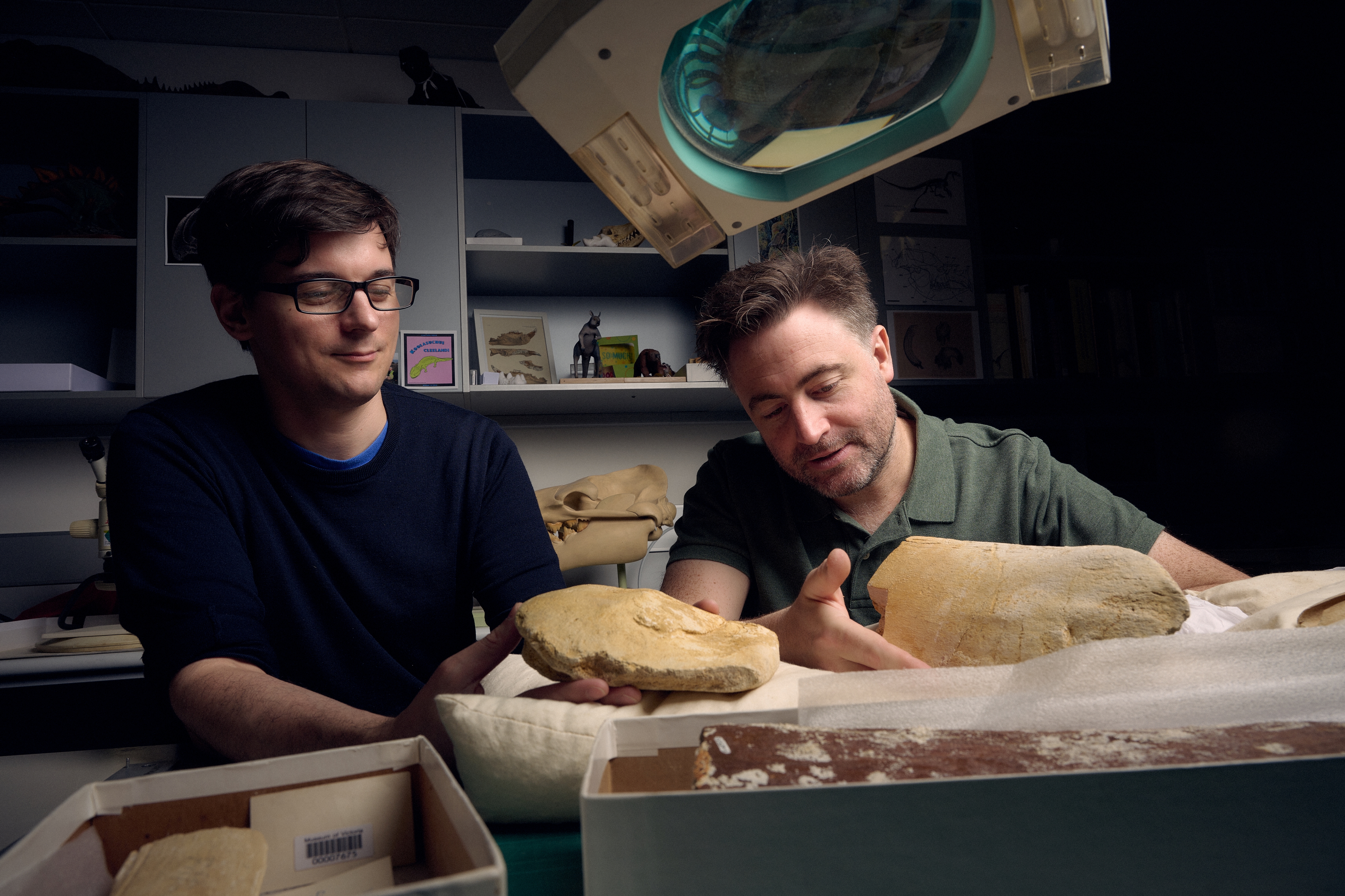 Two men holding pieces of a Murray River whale jaw.