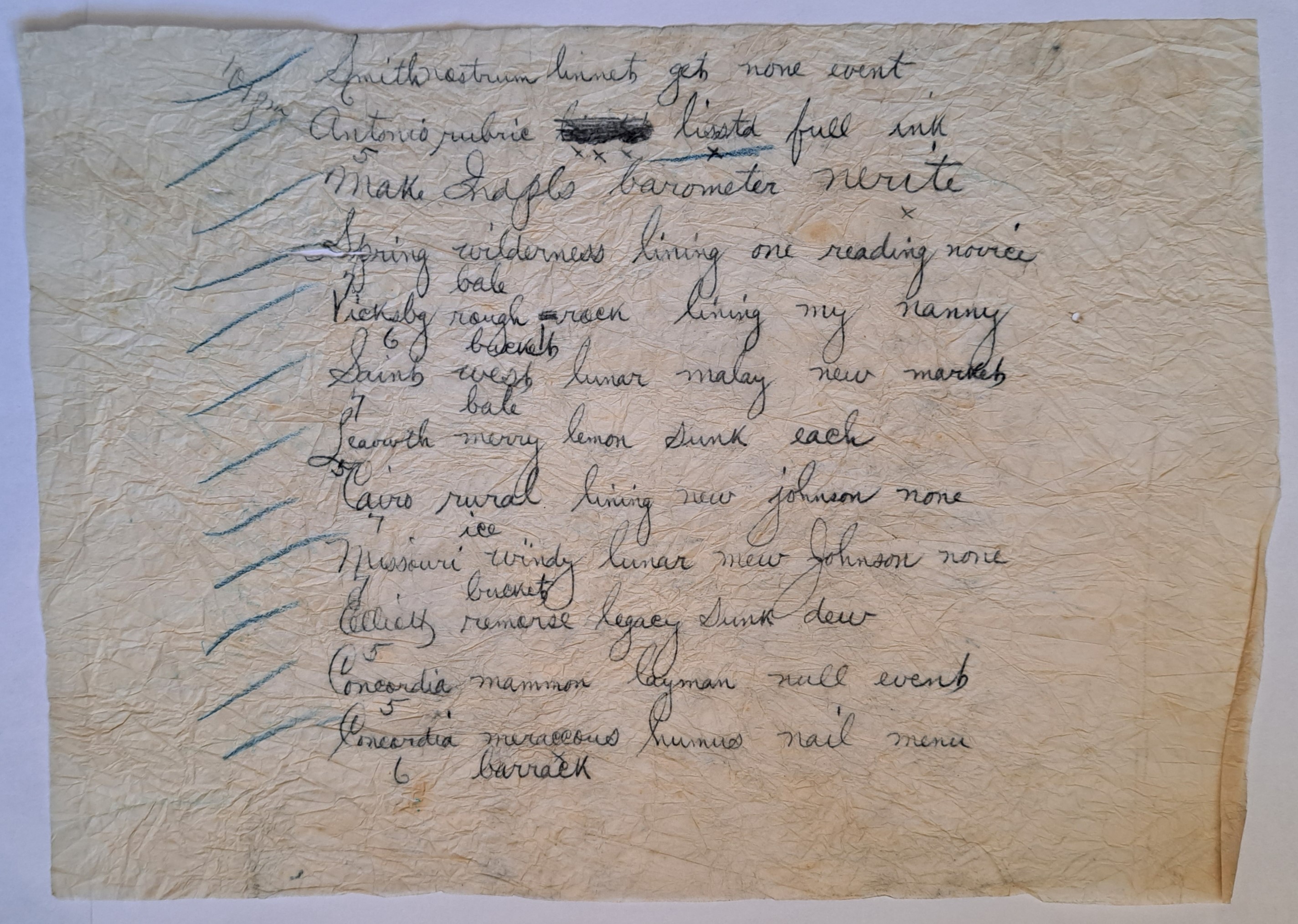 A photo of a yellowing page of crumpled paper showing 12 lines of handwritten text. Some of the lines have smudged words while the second one has a word scratched out. Each line is preceded by a blue tick. A photo of a yellowing page of crumpled paper showing 12 lines of handwritten text. Some of the lines have smudged words while the second one has a word scratched out. Each line is preceded by a blue tick.