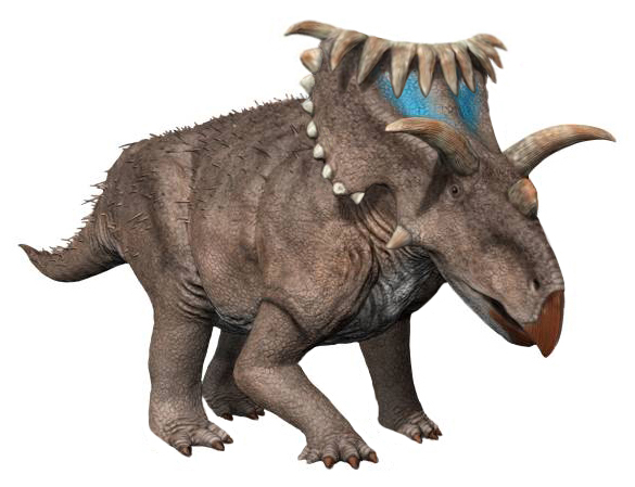 A heavy looking four legged kosmoceratops dinosaur that looks like a triceratops with a beaked nose and big nck frill but it also has a frankly unnecessary 15 face horns A heavy looking four legged kosmoceratops dinosaur that looks like a triceratops with a beaked nose and big nck frill but it also has a frankly unnecessary 15 face horns