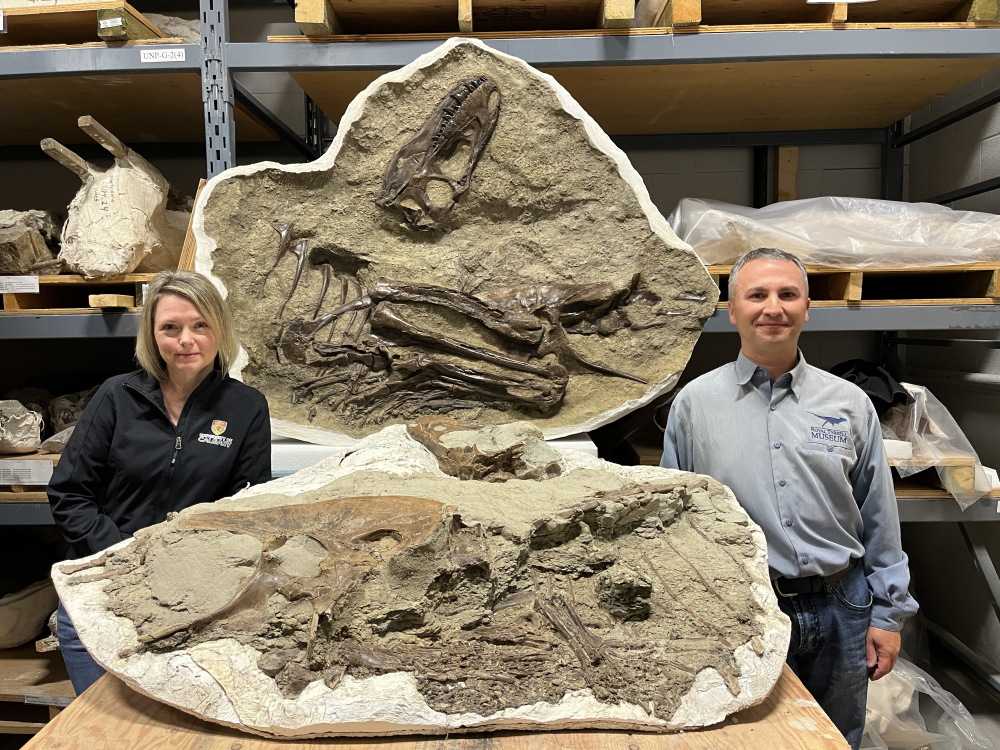 Francois Therrien (right) and Darla Zelenitsky (left) with the Gorgosaurus fossil with preserved stomach contents.
