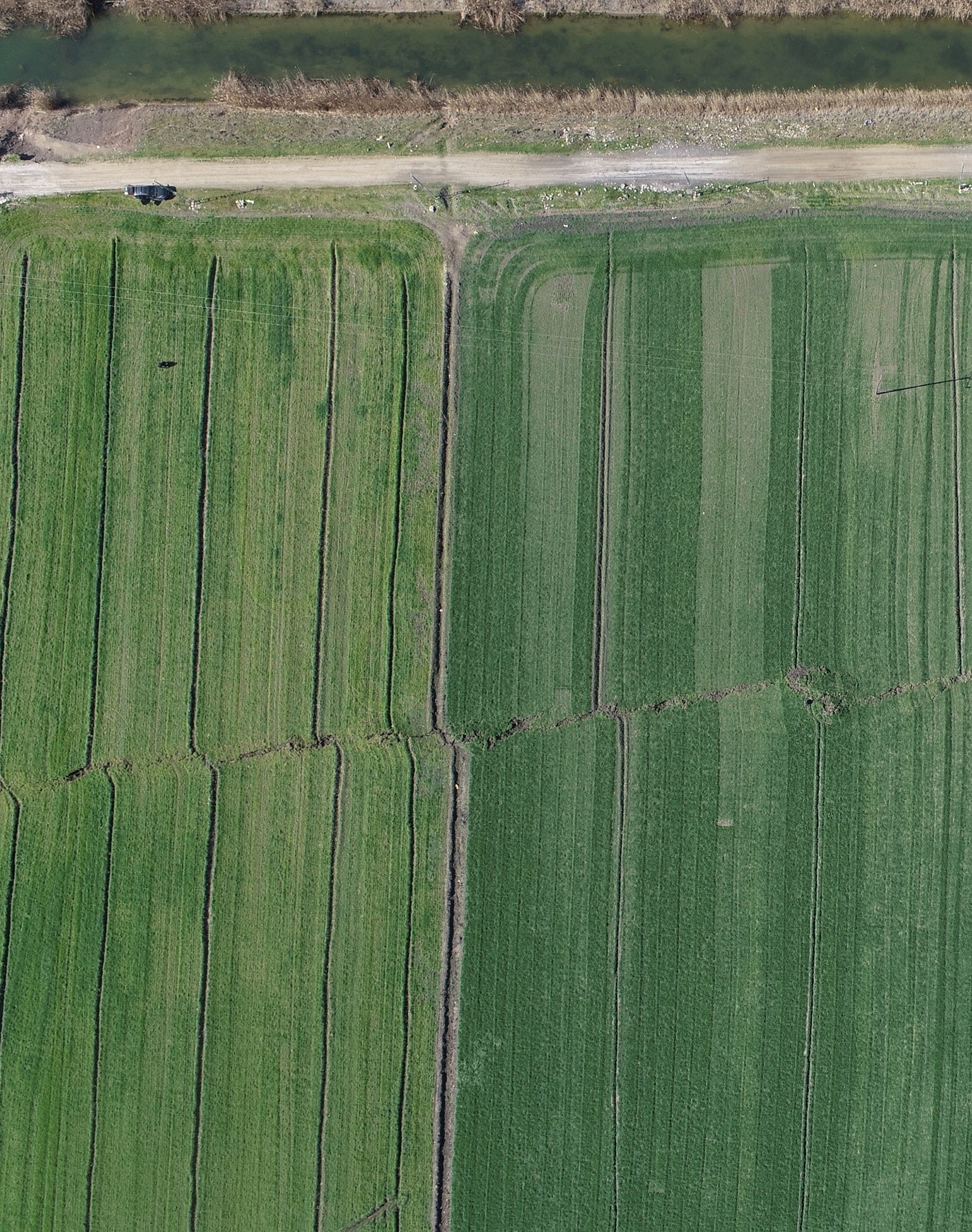 Drone image of ground offset of farm fields from the February 2023 earthquake sequence in eastern Turkey, taken just 18 days after the earthquakes.