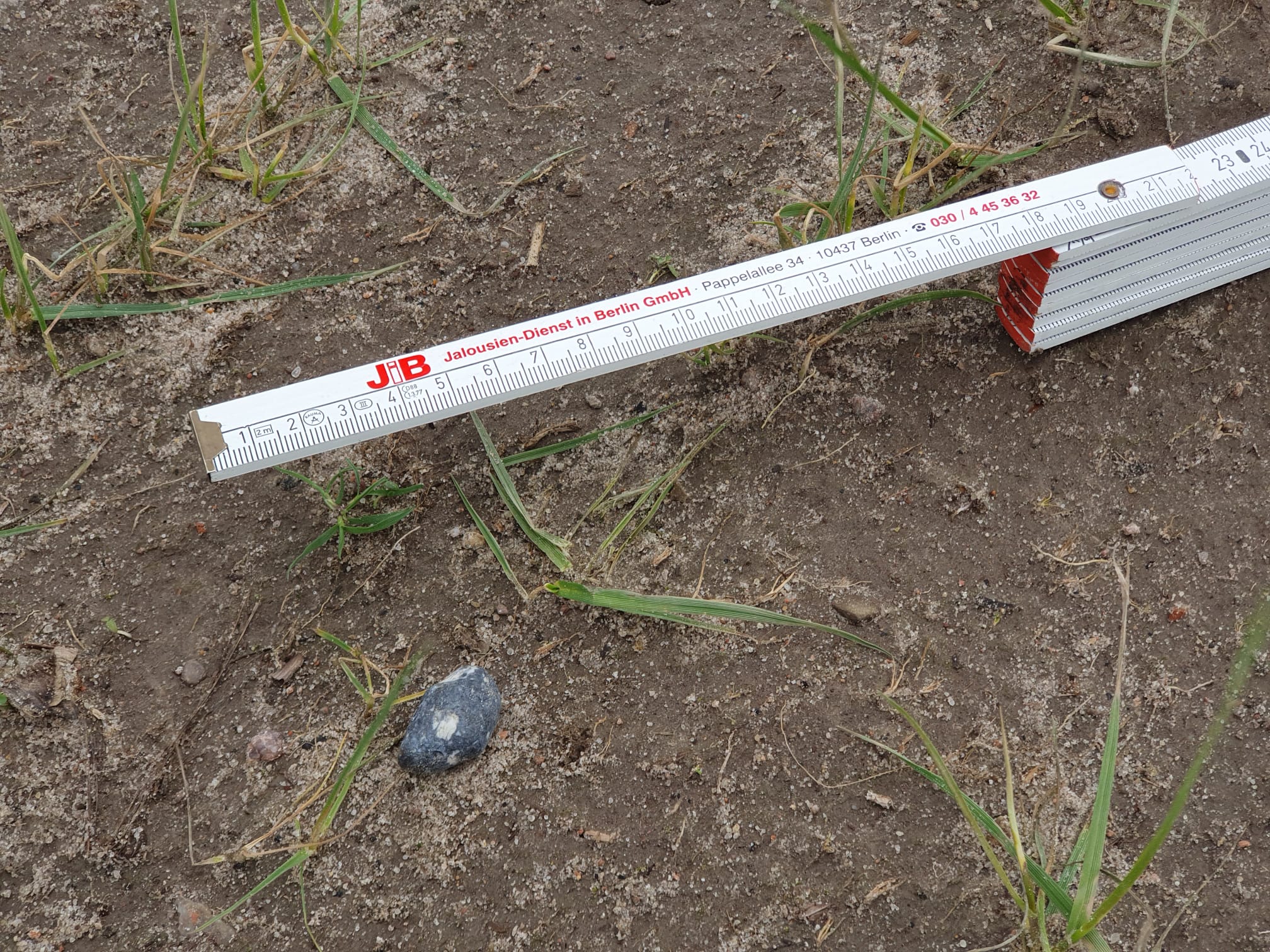 a black rock is found on a brown patch of soil. A ruler is next to it showing that it is a few centimeters across