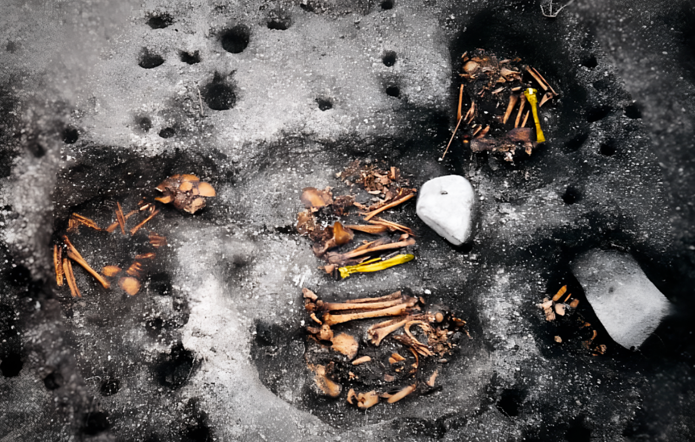 A group of skeletons infected with the pathogen at the Jabuticabeira II site 