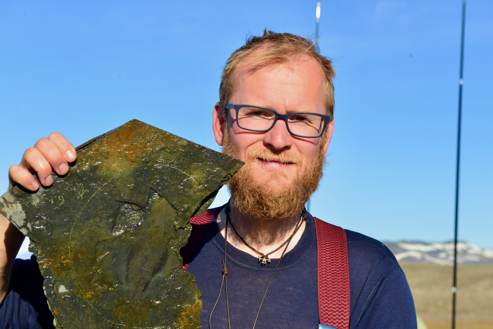 Timorebesta koprii fossil held by Dr Jakob Vinther