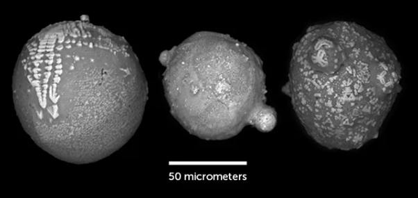 Meteoritic spherules found in Antarctica's Allan Hills. hemical analysis suggests they are consistent with a type of asteroid known as an ordinary chondrite that broke up in the atmosphere