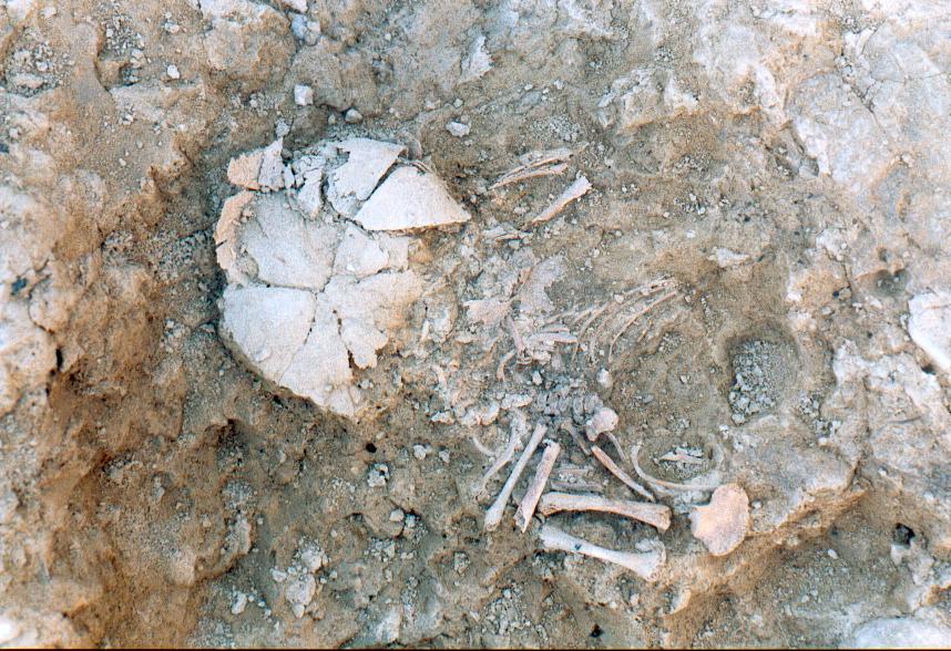 partially buried human bones