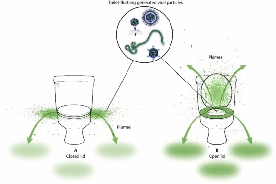 Schematic depiction of MS2 aerosolization and spread to adjacent areas after flushing a home toilet of U.S design Schematic depiction of MS2 aerosolization and spread to adjacent areas after flushing a home toilet of U.S design
