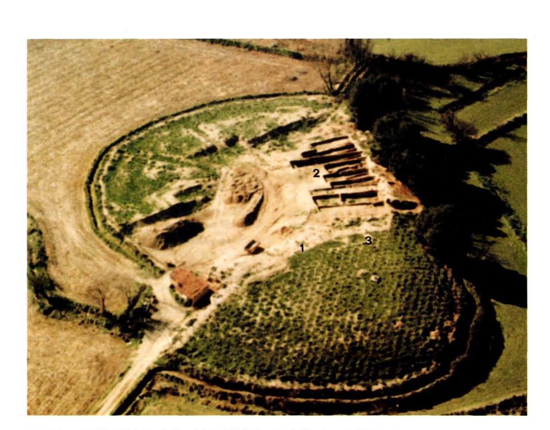 aerial view of the Early Iron Age settlement of Alto de la Cruz