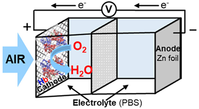 visual abstract illustrating how the zinc-air battery works