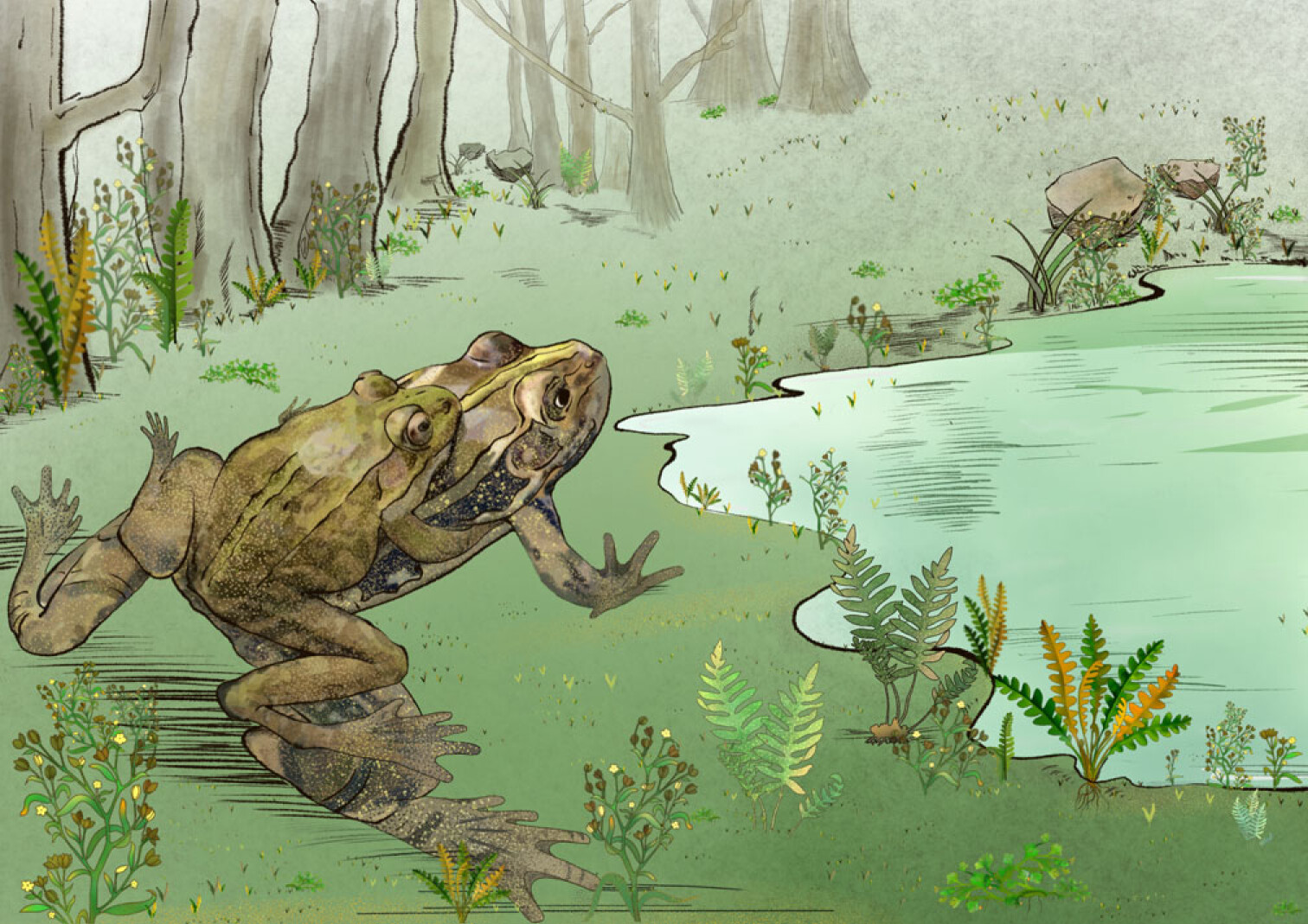 Frog life in the Early Cretaceous