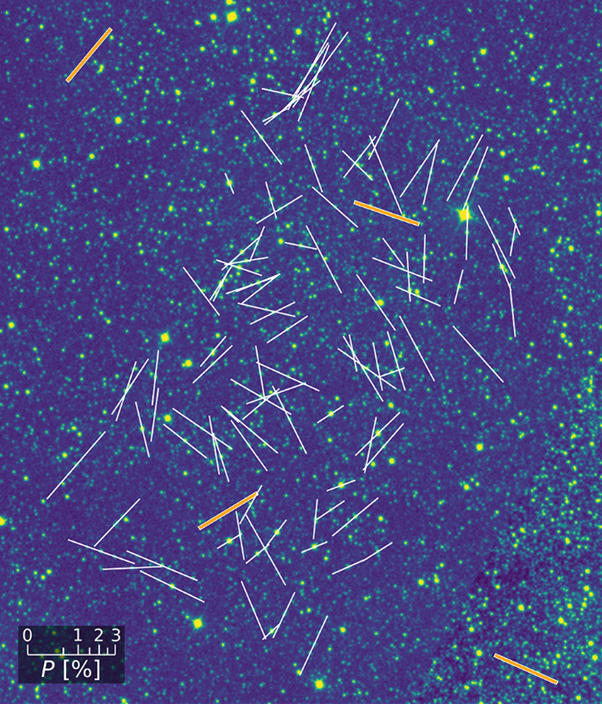 The white linesshow the polarization, which correlates with the orientation of local magnetic field lines. It reveals the galactic field is far from homogenous and combined, this information builds a detailed map of the magnetic field in the Sagittarius arm of the galaxy.