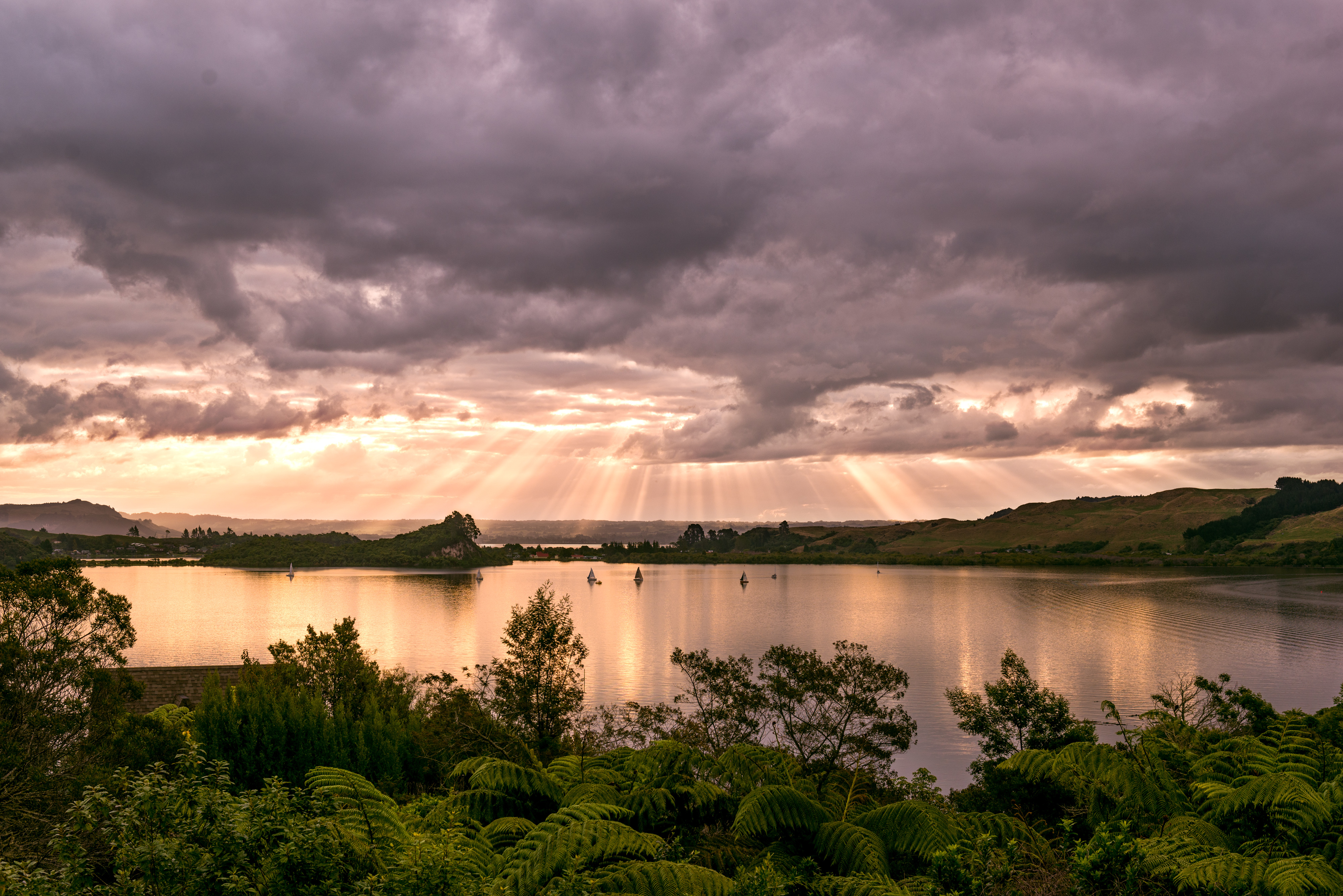 Bright sun beams lake Rotorua, North Island - New Zealand