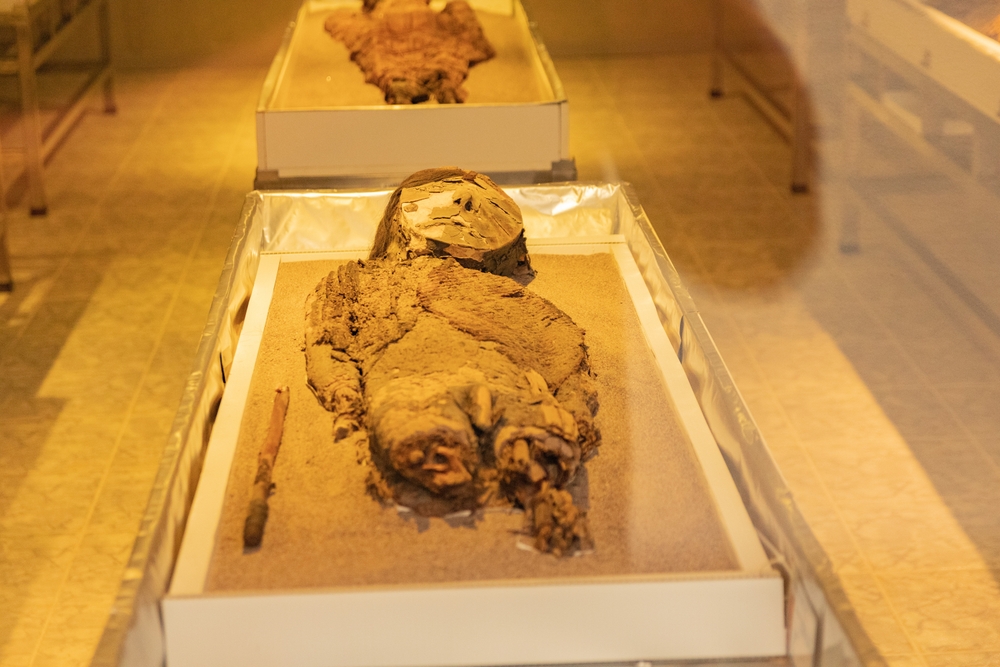 mummified human with mask over the face lying on a table in a conservation room