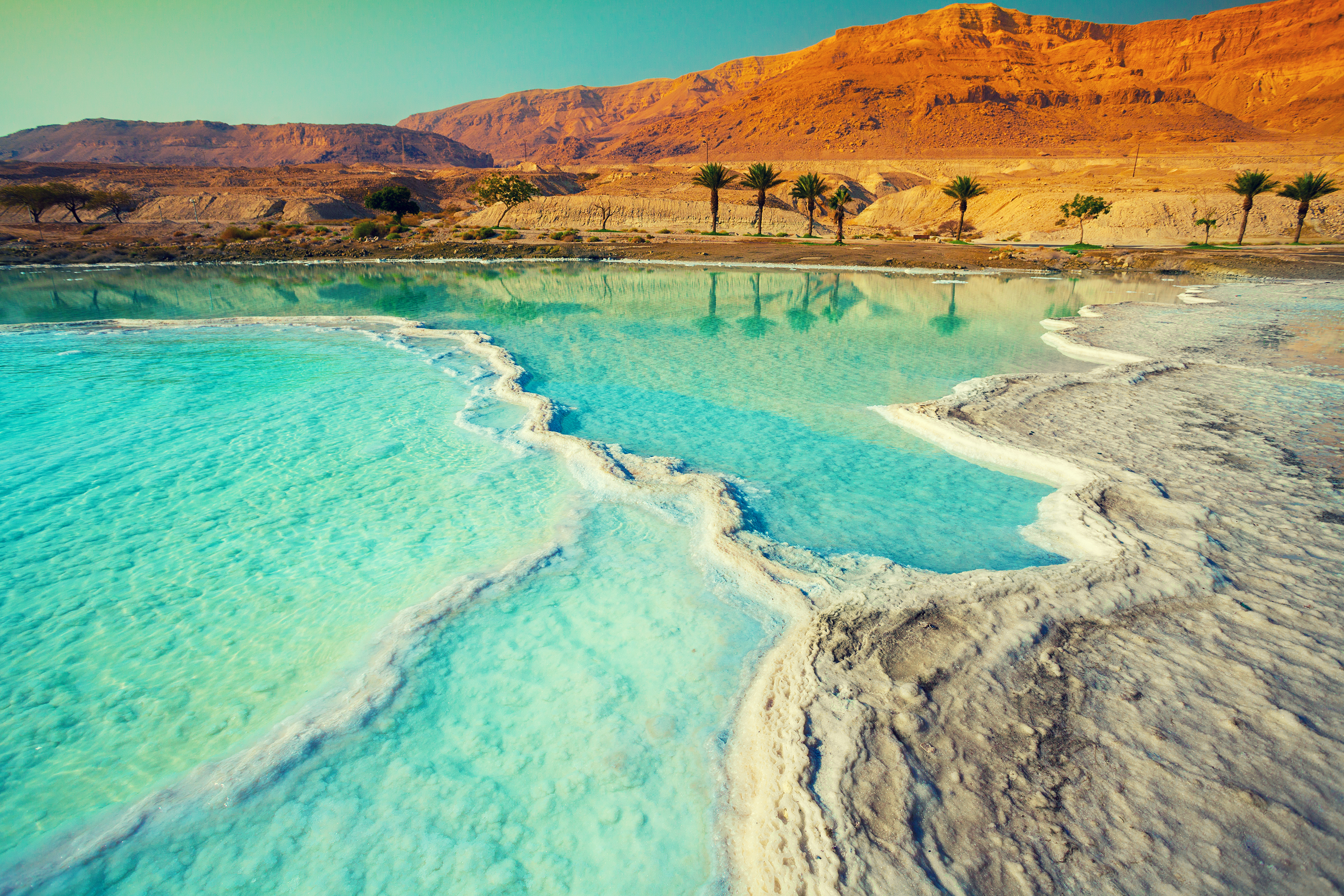 Dead sea salty shore. Wild nature. Tropical landscape. Summertime.