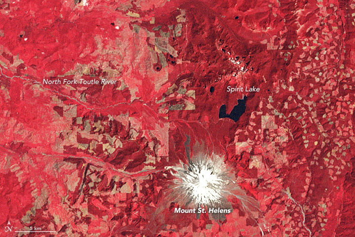 satellite image of spirit lake and mount st helens