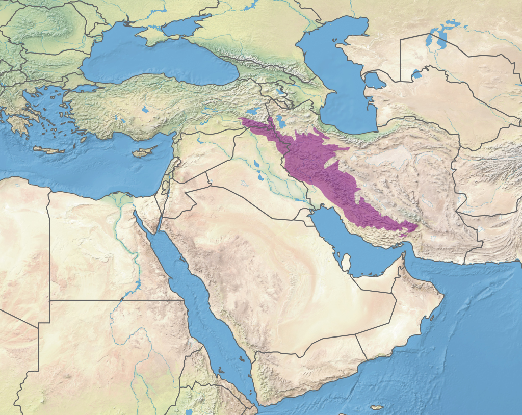 Map showing The Persian Plateau (aka the Iranian Plateau) is located to east of the Zagros Mountains (shown in purpley pink).