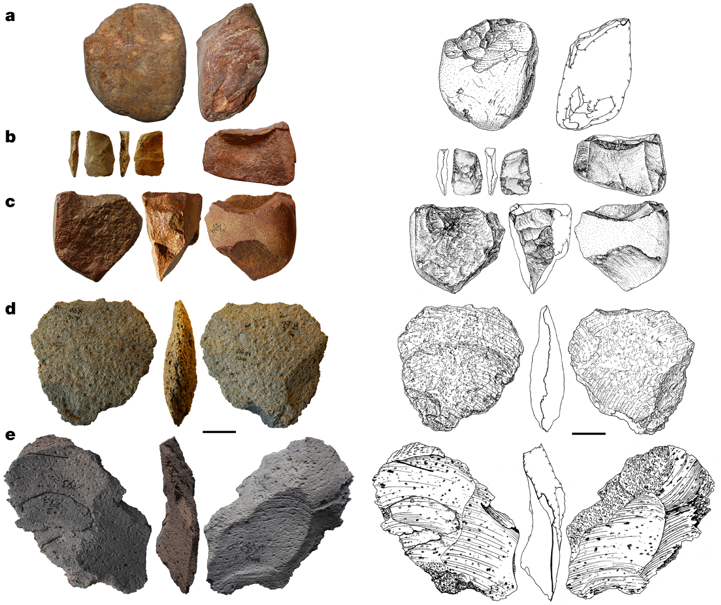 Ancient Oldowan toolkit Ukraine