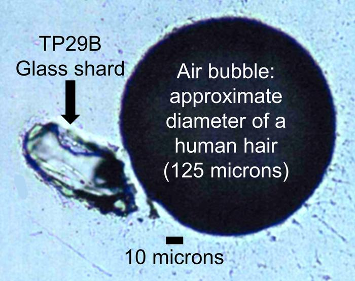 A tiny glass shard less than the diameter of human hair was recovered from a Middle Stone Age site in northwest Ethiopia. Its chemistry matches that of the Toba supervolcano located on the other side of the world in Indonesia. The people who lived at this archaeological site survived the supereruption because of their behavioral flexibility.