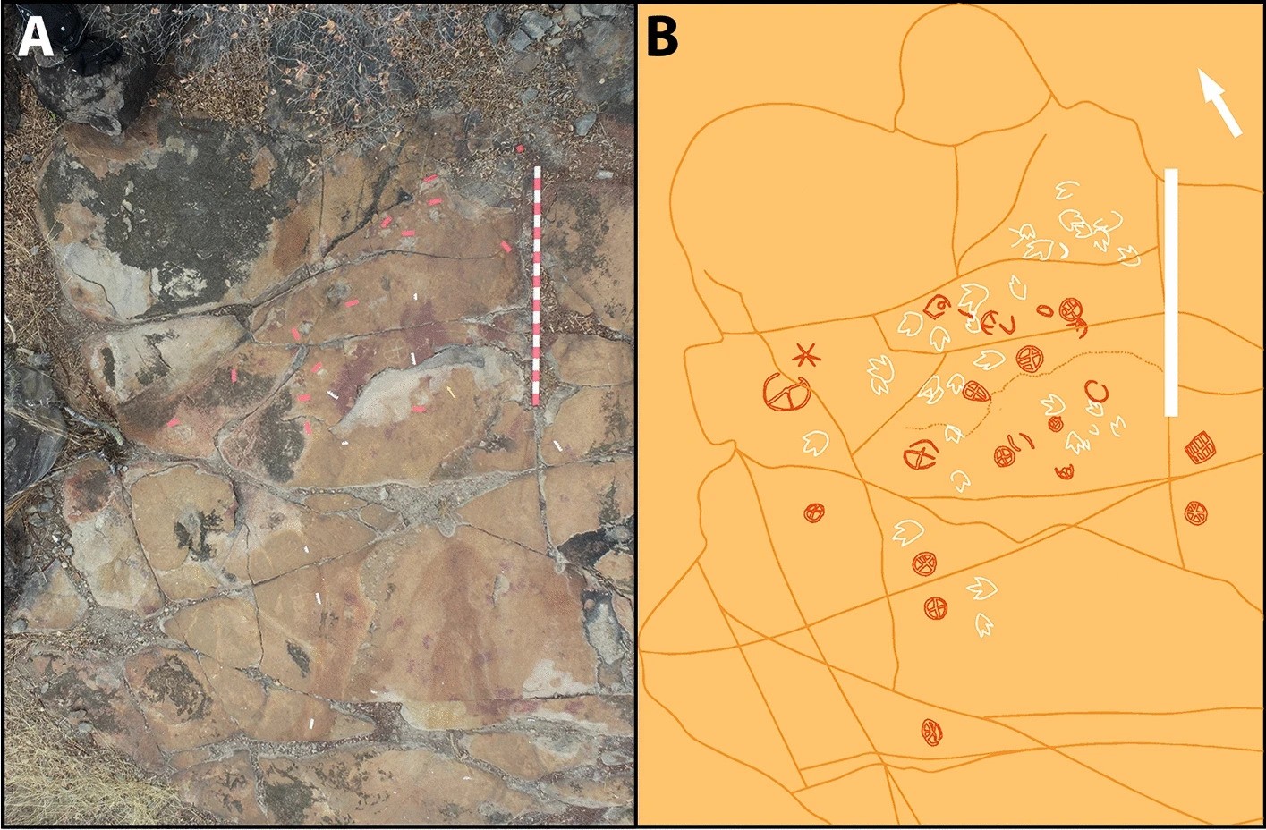 Petroglyphs and dinosaur tracks in Brazil