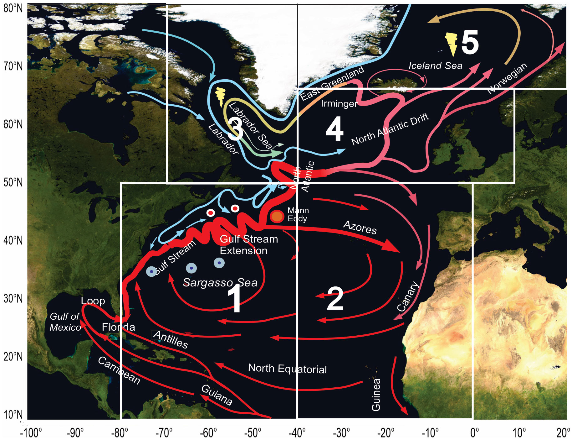 A scheme of the upper-layer circulation of the North Atlantic Ocean. Red – warm currents, blue – cold currents. White boxes 1 to 5 indicate five different areas of analysis where temperature, salinity, and current velocities presumably differ considerably.