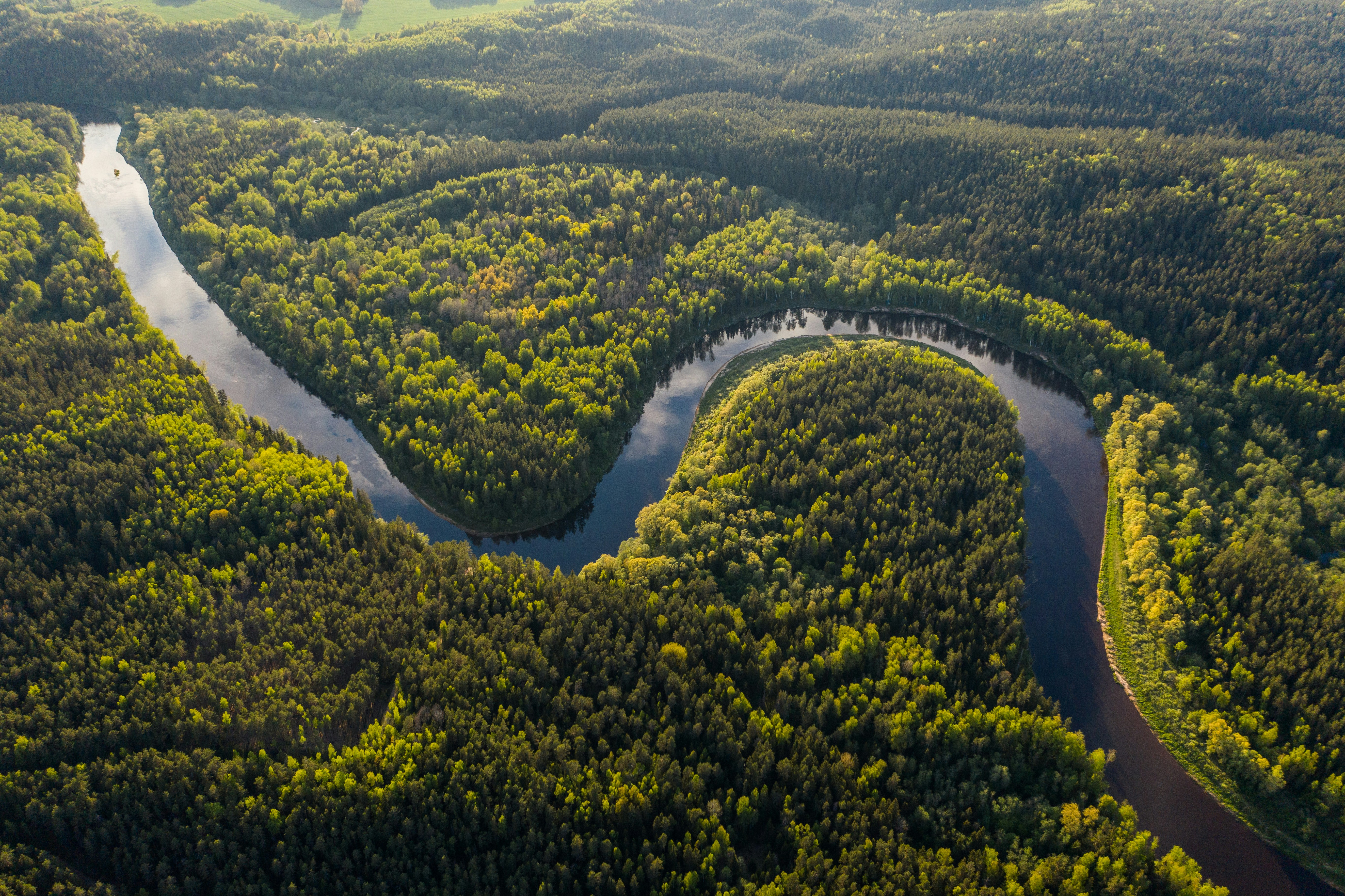 Aerial photo of the Amazon River curling through thick rainforest and trees in Brazil.