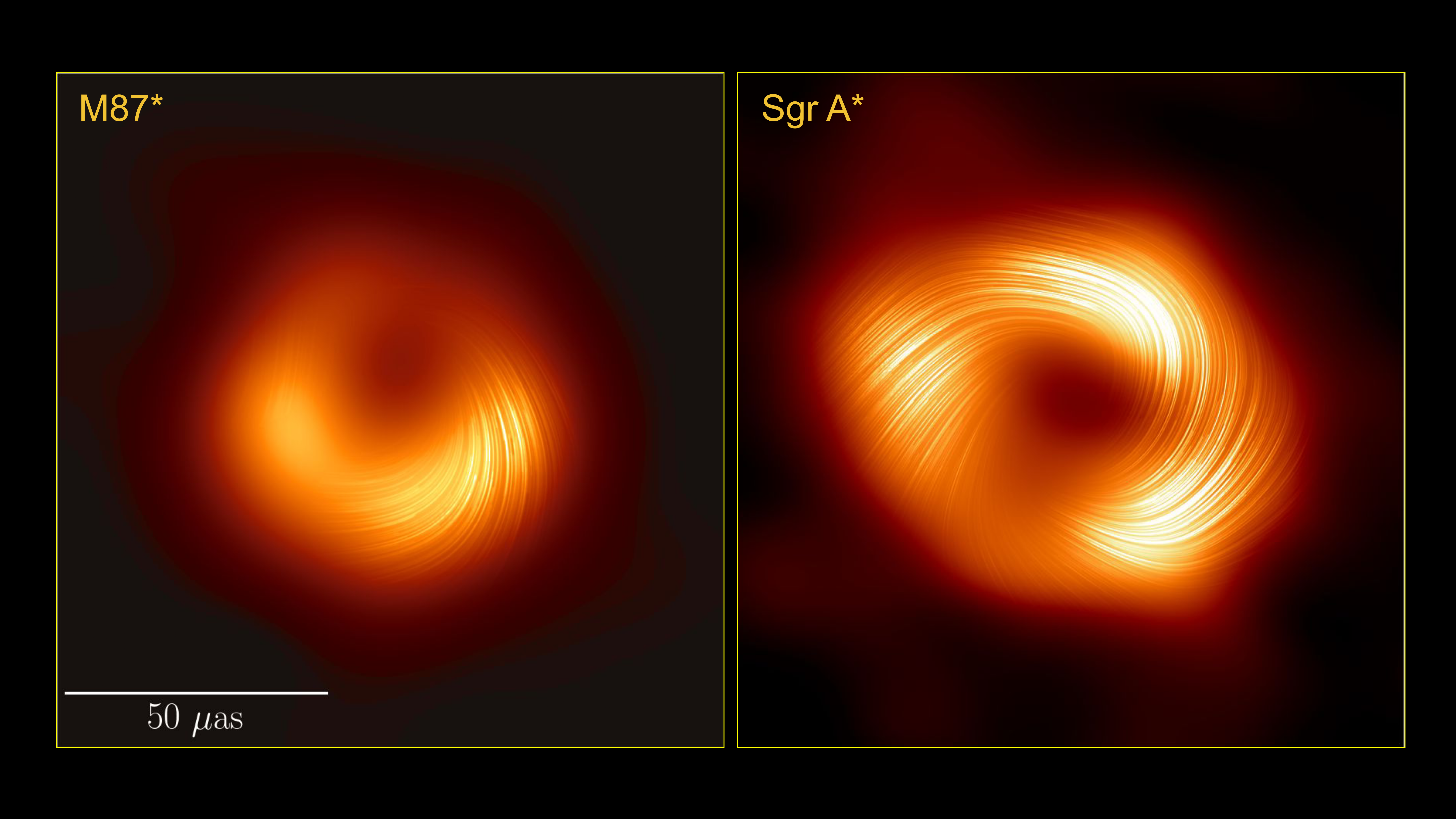 A side by side comparison of the two images of the black holes showing similar magnetic field represendte as bright thin lines over their roughly doughnut shape. The lines wrap around the whole shape