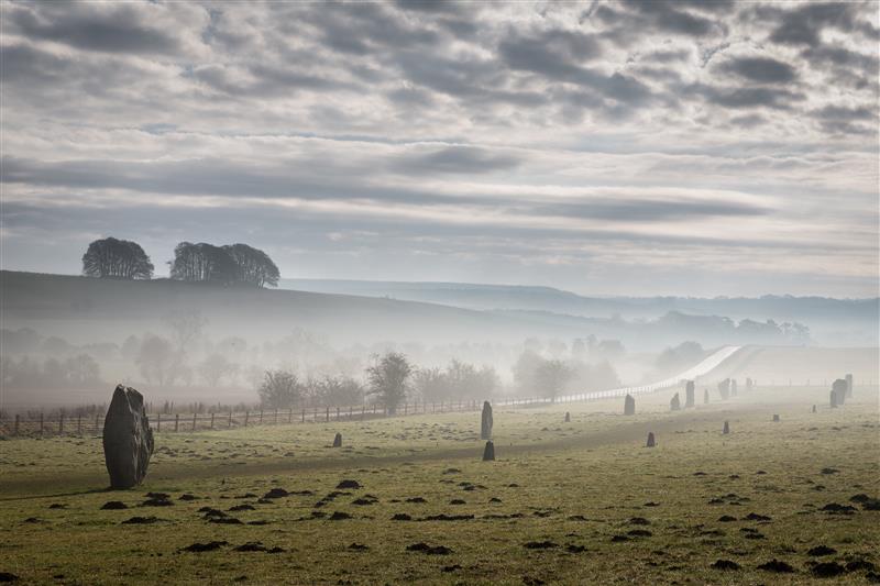 A photo of some of the stones that make up Avebury henge. The stones appear in a line that runs through a green field speckled with mole holes. The lower part of the field is misty and, rising from the other side, is a hill with a crop of trees on it. The sky is overcast. 