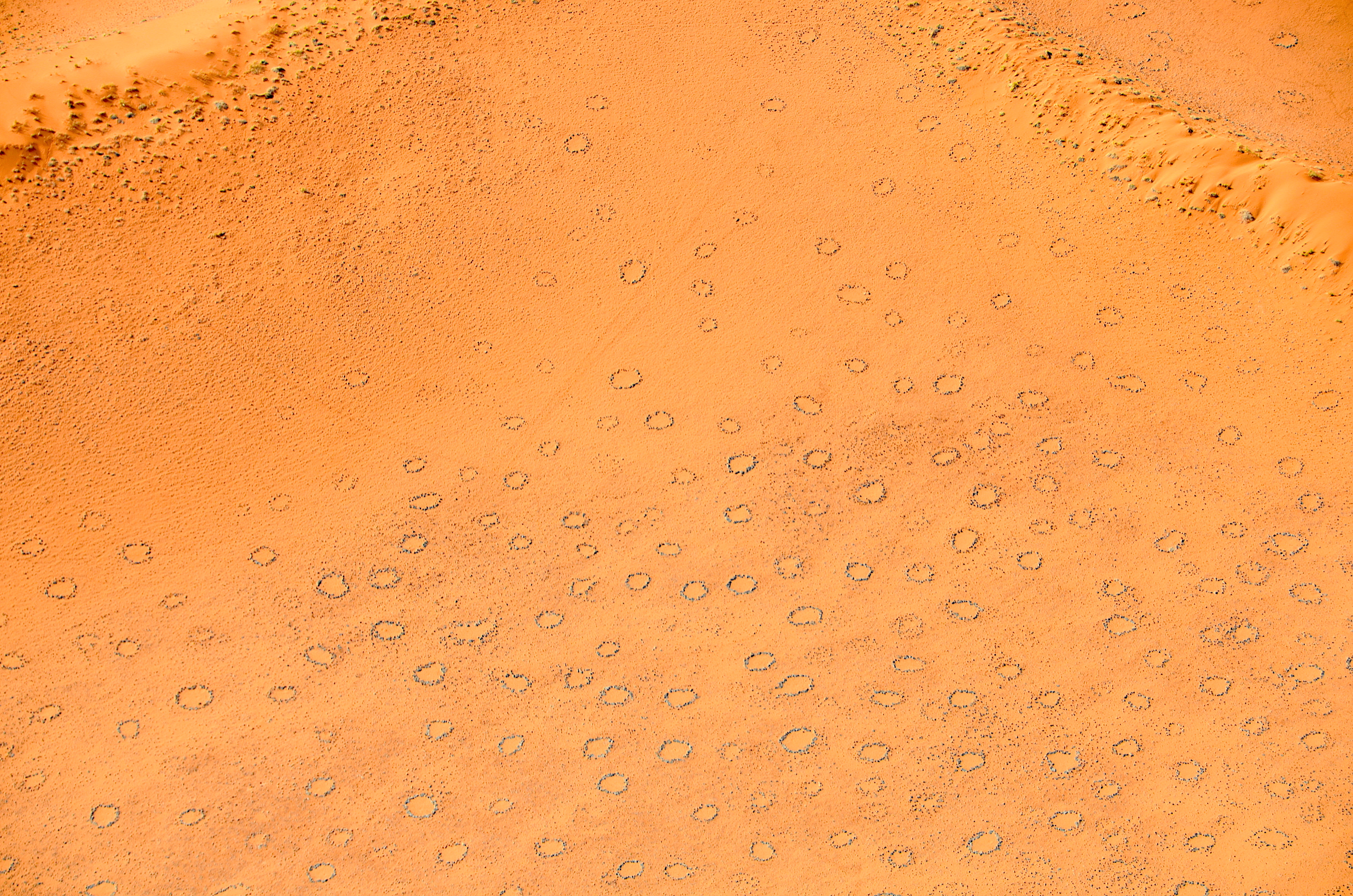 Aerial view of fairy circles in the Namib