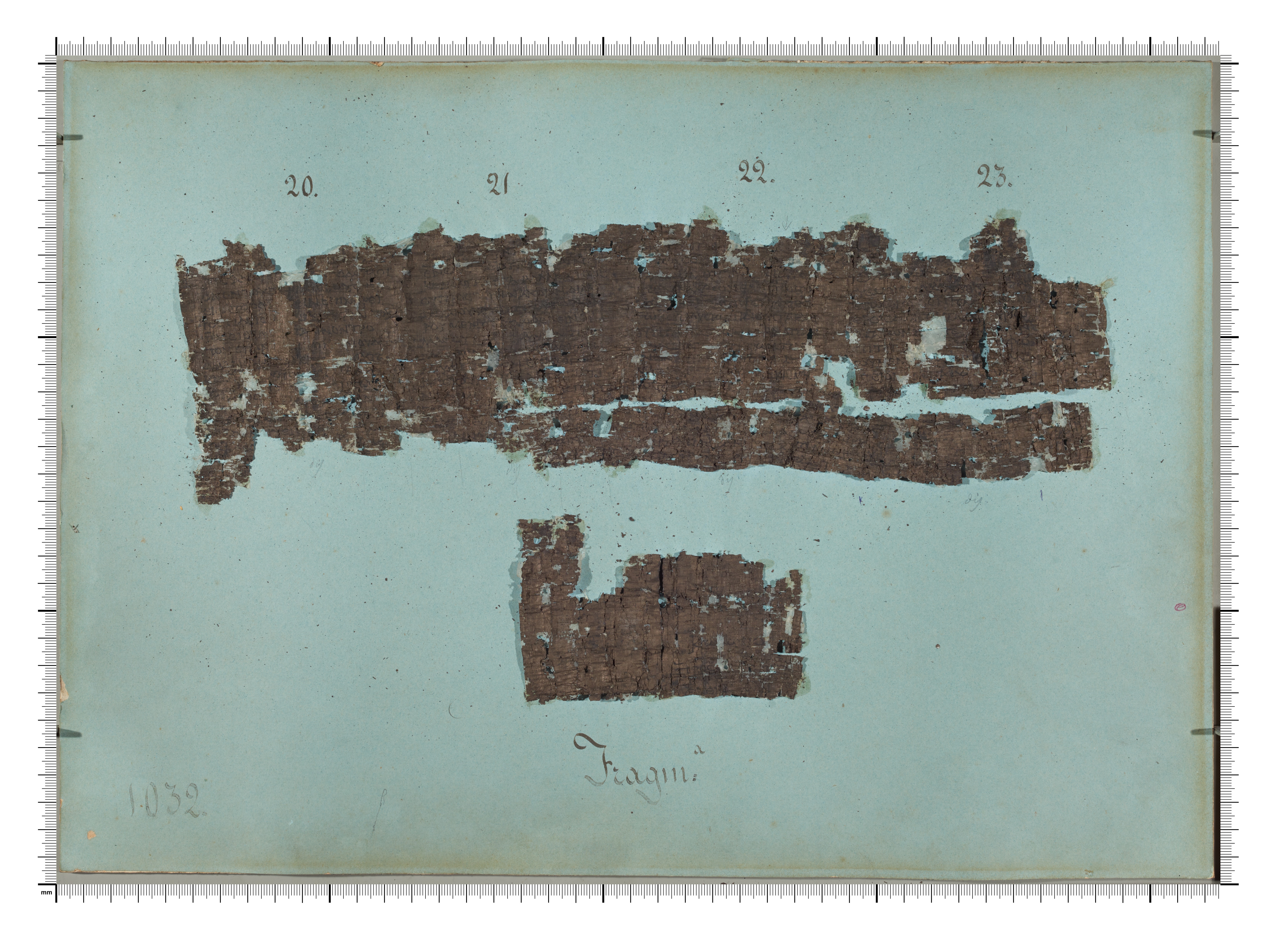 charred scroll fragments laid out against blue background
